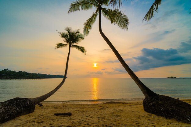 Beautiful paradise island with beach and sea around coconut palm tree