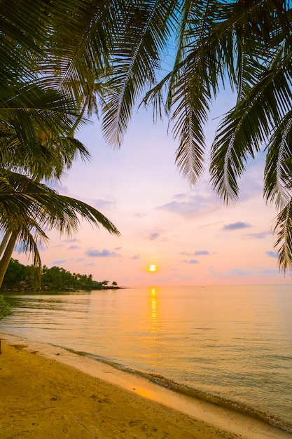 Beautiful paradise island with beach and sea around coconut palm tree