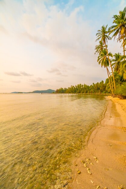 Beautiful paradise island with beach and sea around coconut palm tree