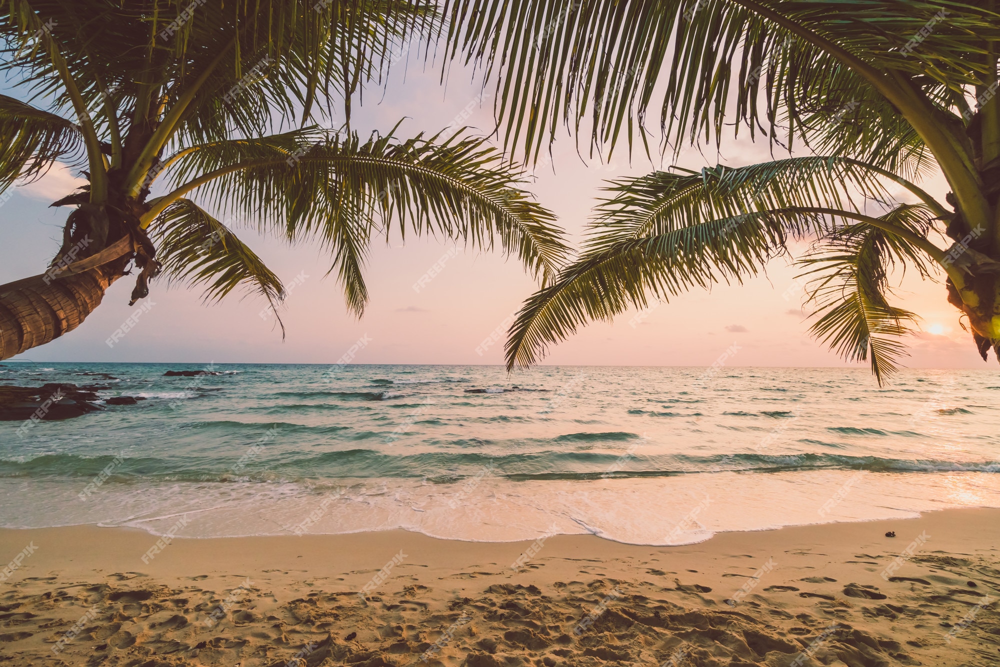 Tropical Beach Images - Free Download on Freepik