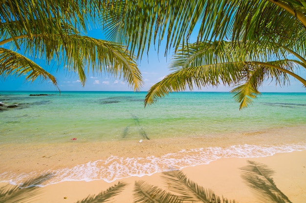 Free photo beautiful paradise island with sea and beach landscape