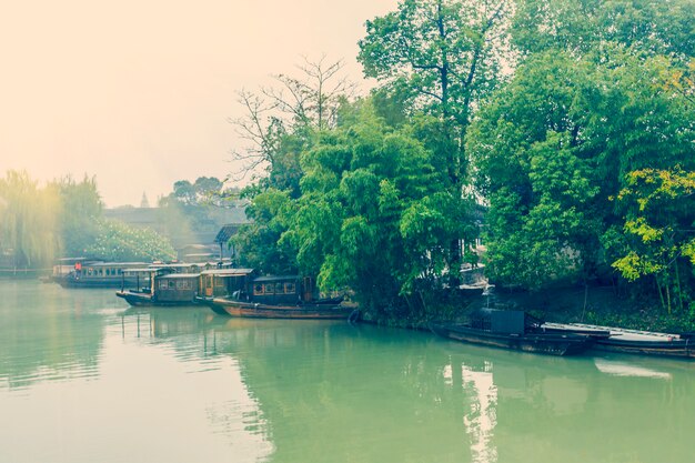 美しい公園の景色