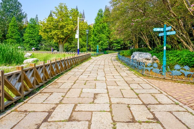 Как укладывать тротуарную плитку на даче