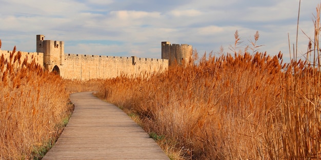 Beautiful pathway going to a castle surrounded by beautiful field