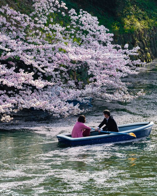 Beautiful peach tree blossom in japan