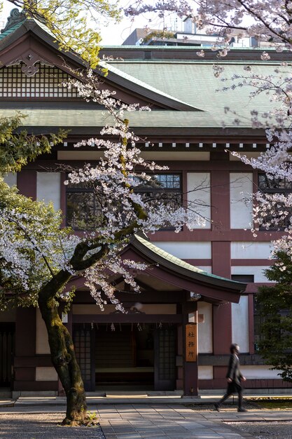 도쿄의 아름다운 복숭아 나무 꽃