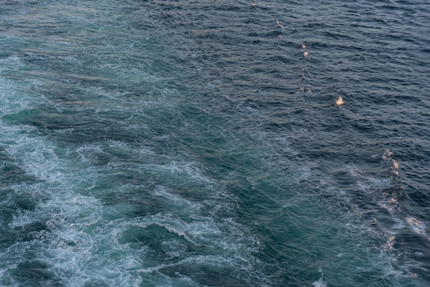 Beautiful photo of the sea waves