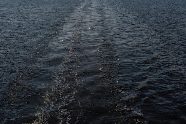 Free photo beautiful photo of the sea and waves