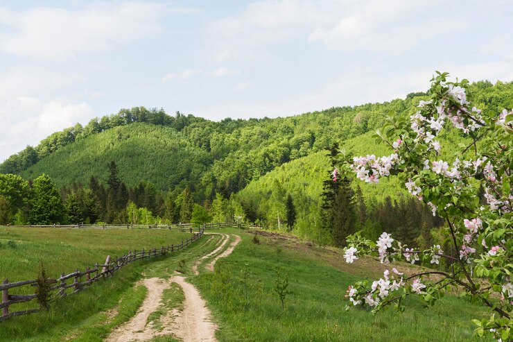 Бесплатный Фотография красивый уголок природы при дневном свете