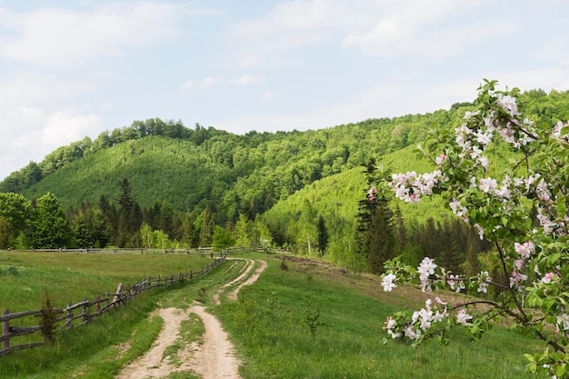 Красивый уголок природы при дневном свете