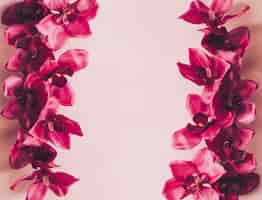 Free photo beautiful pink background with rose flowers and copyspace