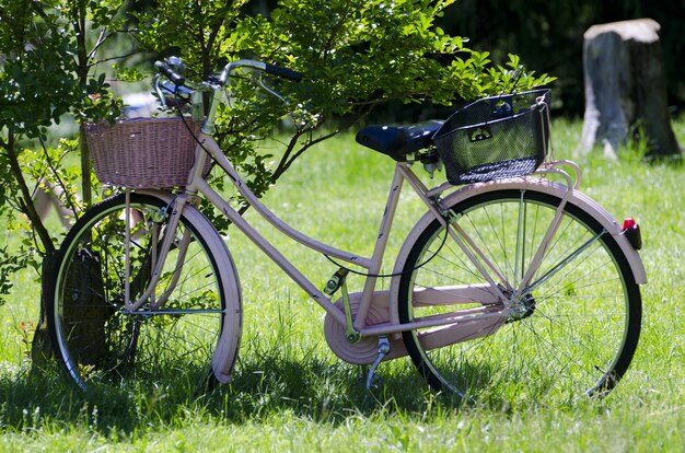 Красивый розовый велосипед, припаркованный у дерева посреди поля, покрытого травой