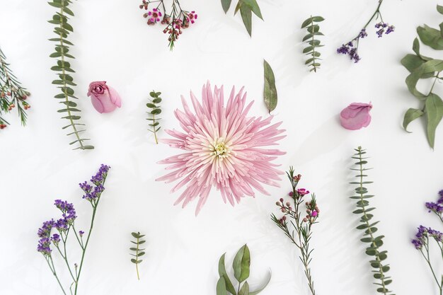 Beautiful pink flower surrounded by others plants