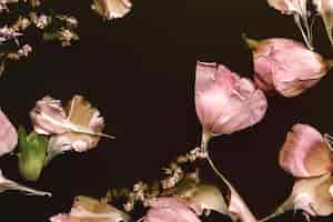 Foto gratuita bellissimi fiori rosa in acqua nera