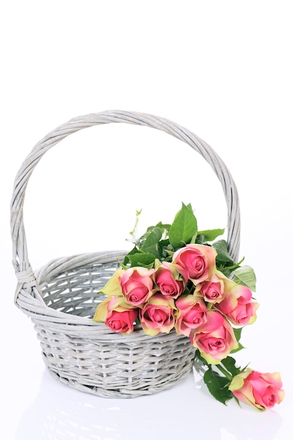 Beautiful pink roses in Basket on white background