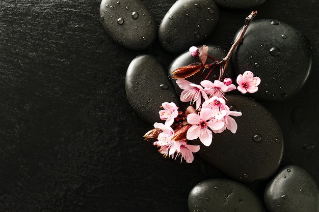 Beautiful pink Spa Flowers on Spa Hot Stones on Water Wet Background. Side Composition. Copy Space. Spa Concept. Dark Background.