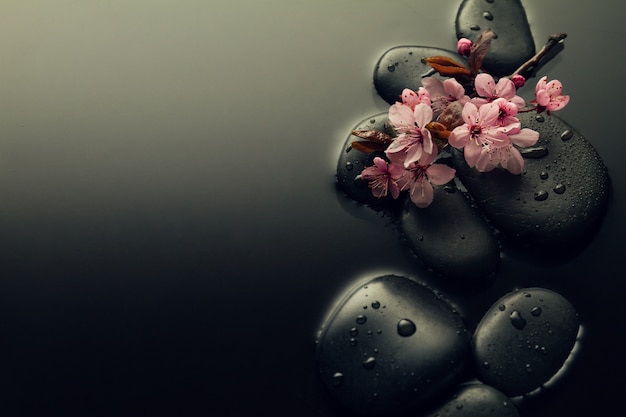 Free photo beautiful pink spa flowers on spa hot stones on water wet background. side composition. copy space. spa concept. dark background.