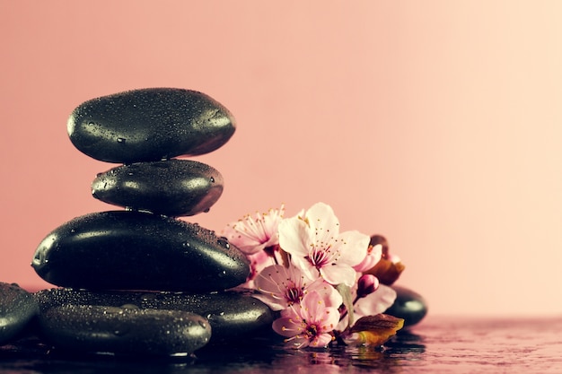 Free photo beautiful pink spa flowers on spa hot stones on water wet background. side composition. copy space. spa concept. dark background.