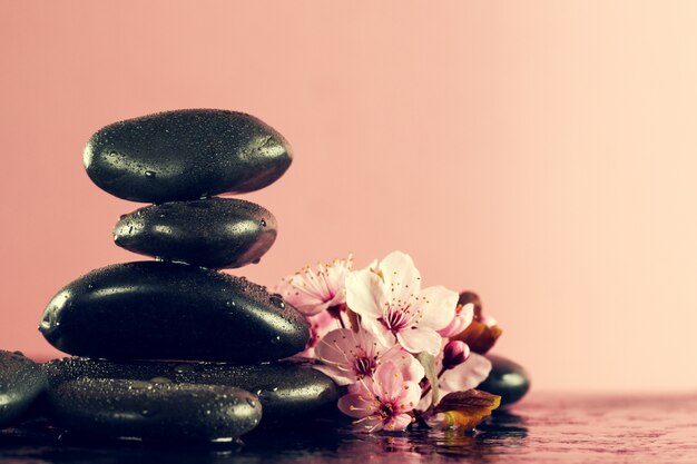 Beautiful pink Spa Flowers on Spa Hot Stones on Water Wet Background. Side Composition. Copy Space. Spa Concept. Dark Background.