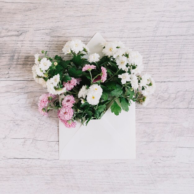 Beautiful pink and white aster flowers in the envelope on wooden textured background