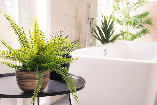 Beautiful plants next to the bathtub in the bathroom