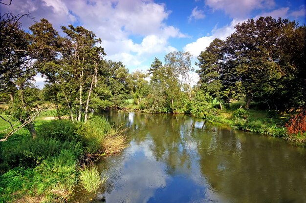 Beautiful pond with the sky reflected