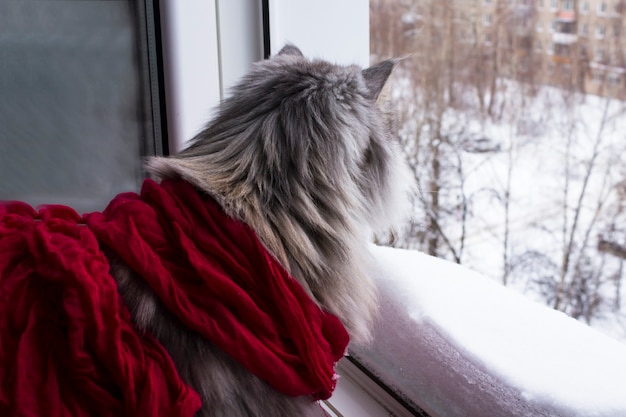 下雪发朋友圈短句
