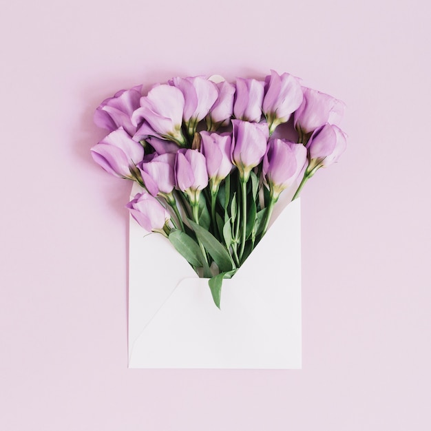 Beautiful purple eustoma flowers in the envelope on pink background