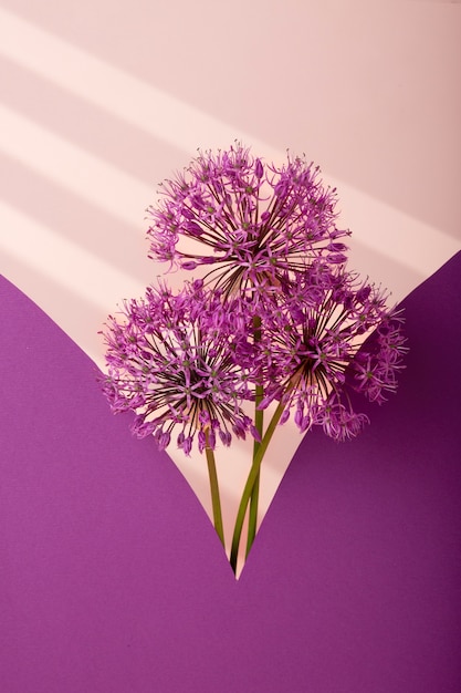 Free photo beautiful purple flowers arrangement