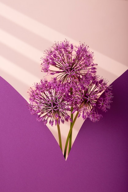 Beautiful purple flowers arrangement
