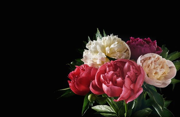 パステルカラーの花の背景 プレミアムベクター