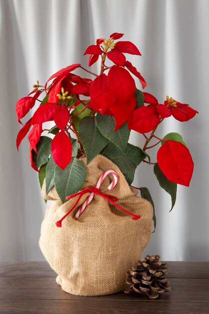 Beautiful red poinsettia arrangement