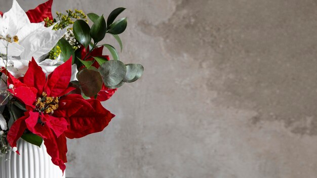 Beautiful red and white poinsettia assortment