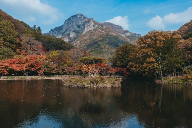 背の高い山と青い空を背景にした湖の上の木の美しい反射