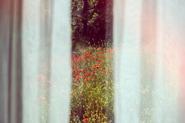 붉은 꽃과 함께 아름 다운 복고풍 자연