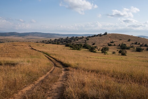 Beautiful road going through the fields under the blue sky in Kenya