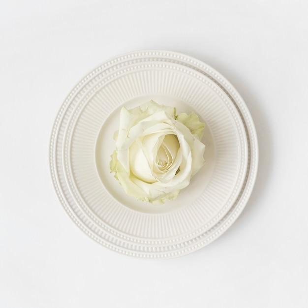 Beautiful rose on ceramic plates against white background