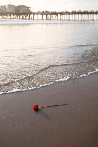 Красивая роза осталась на пляже с волнистой водой