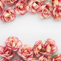 Beautiful roses background with copyspace
