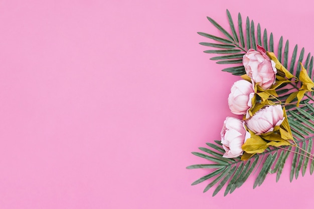 Free photo beautiful roses with leaves palm on pink background