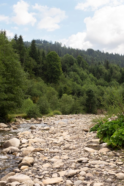 Beautiful rural view with trees