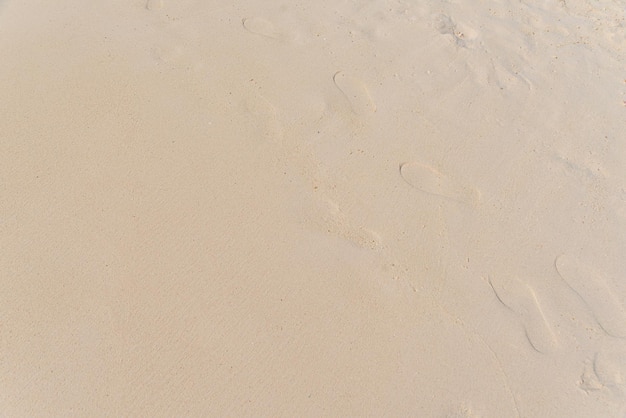 Free photo beautiful sand beach and footprints