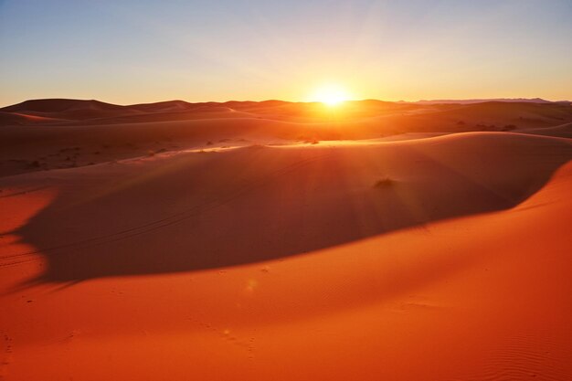 Beautiful sand dunes in the Sahara desert