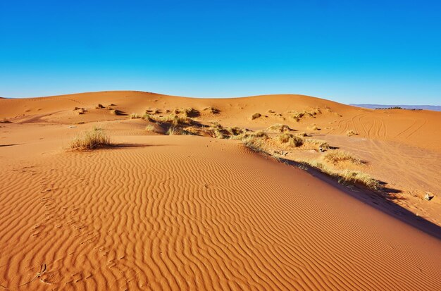 Beautiful sand dunes in the Sahara desert