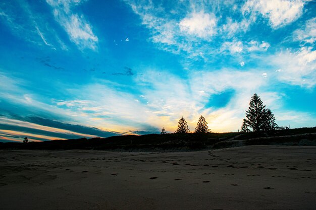 Beautiful sandy beach under a blue cloudy sky at sunrise