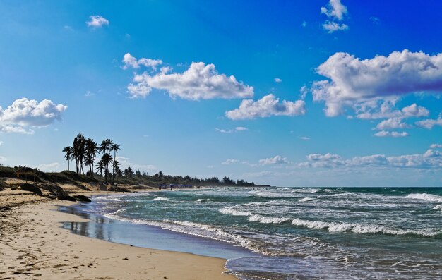 Beautiful sandy beach with palm trees and rocks on a sunny day