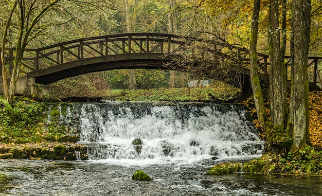 Foto gratuita bellissimo scenario di un ponte su un fiume circondato da alberi in un parco