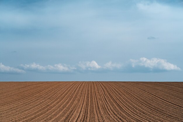 Beautiful scenery of a cultivated agricultural field under a cloudy sky