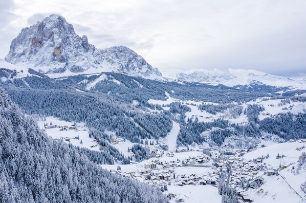 Beautiful scenery of a forest in the snowy Alps in winter