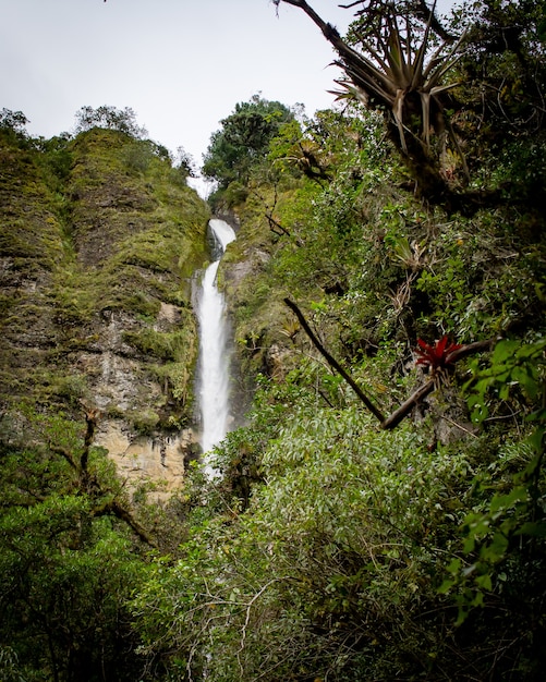 Красивые пейзажи леса с изумительными сверкающими водопадами